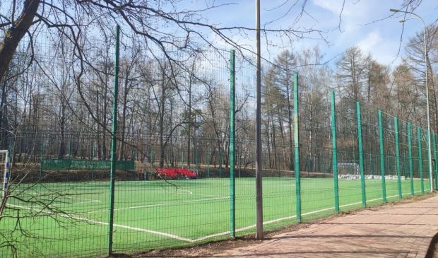 Фотография Мини-футбольное поле 40х20 «Царицыно» на Дольской