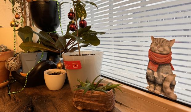 Фотография Зал для танцев, йоги и фитнеса «Унца Унца Спорт»