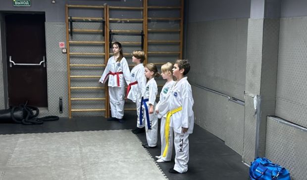 Фотография Тхэквондо ИТФ 