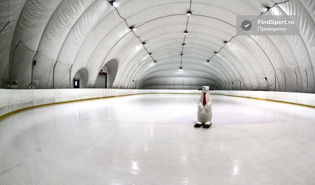 Фотография Ice Park Ледовая арена 