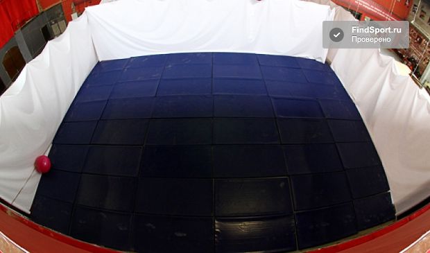 Фотография Зал смешанных единоборств на Савёловской (96 кв.м.)