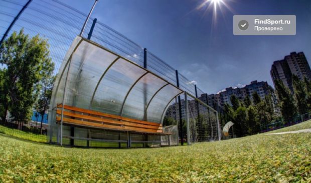 Фотография Футбольное поле в парке 