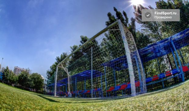 Фотография Футбольное поле в парке 