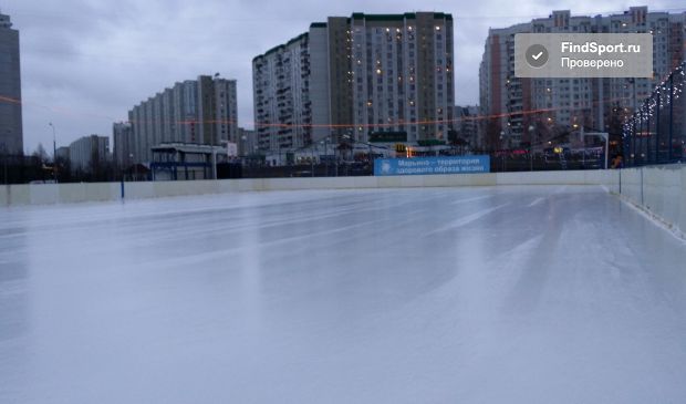 Фотография Хоккейная площадка в парке Артема Боровика