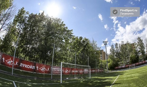 Фотография Спартак Футбольное поле с  подогревом №1 (103х68м)